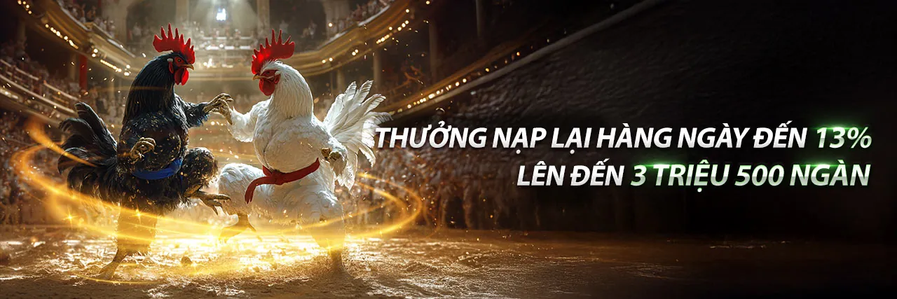 Đấu Gà Trực Tuyến Hwin Link Mới