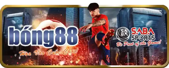 Cá cược thể thao Hwin